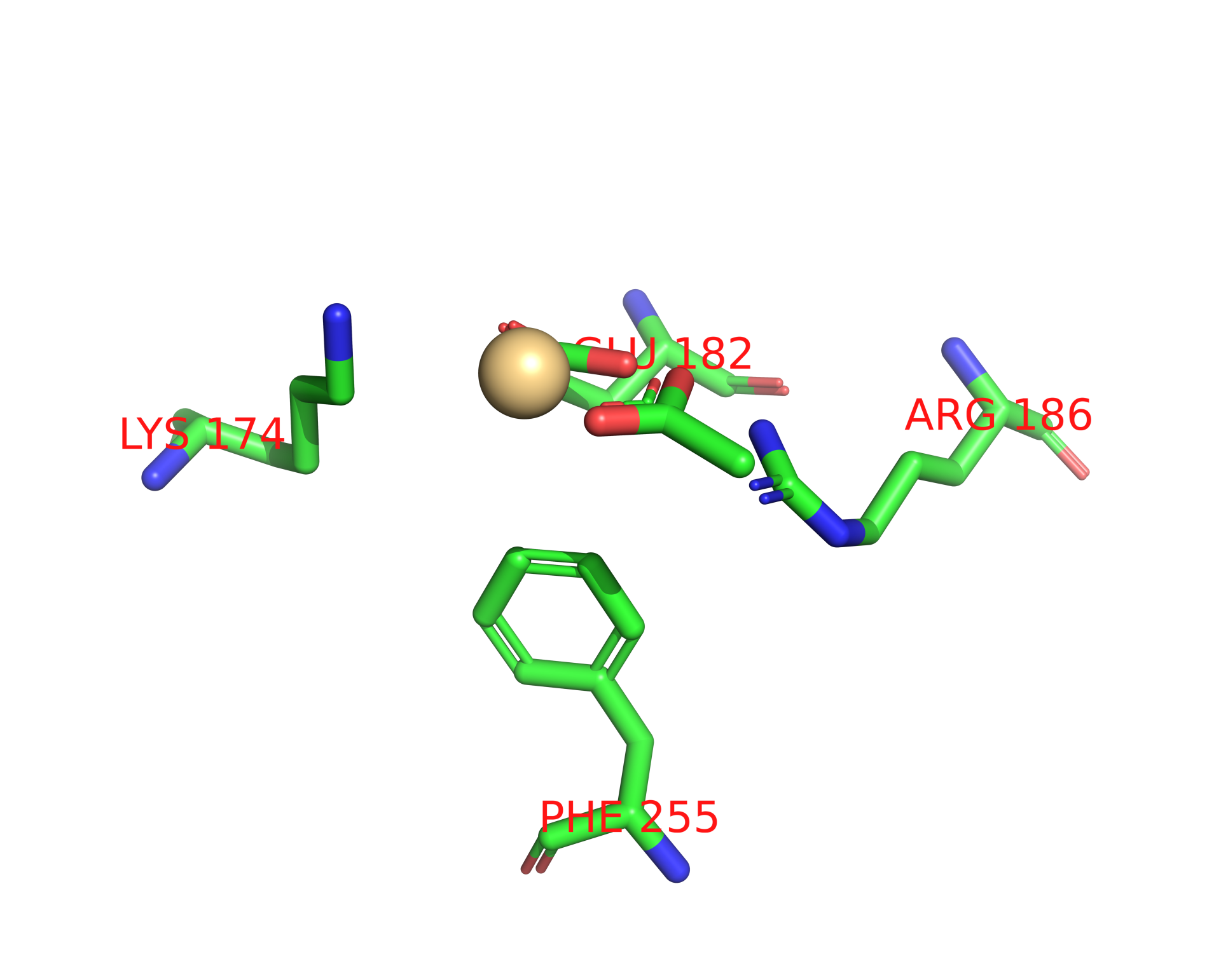 Cadmium binding site 4 out of 11 in 1g8h Cadmium binding site 4 out of 11 in 1g8h