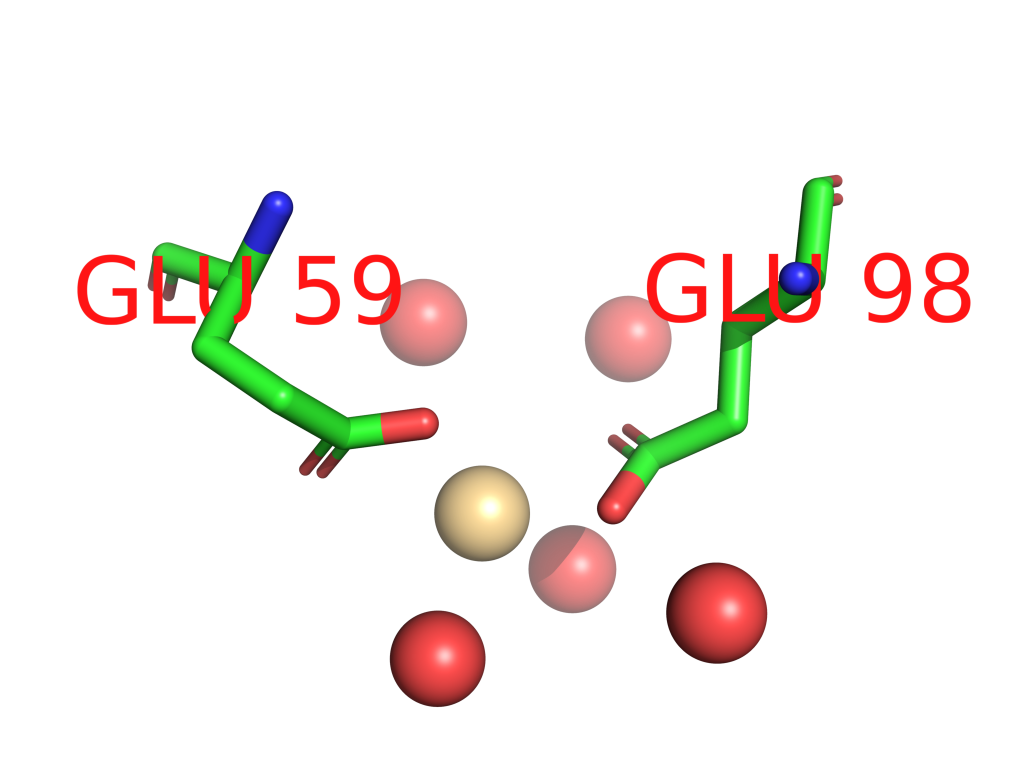 Cadmium binding site 13 out of 32 in 2p5q Cadmium binding site 13 out of 32 in 2p5q