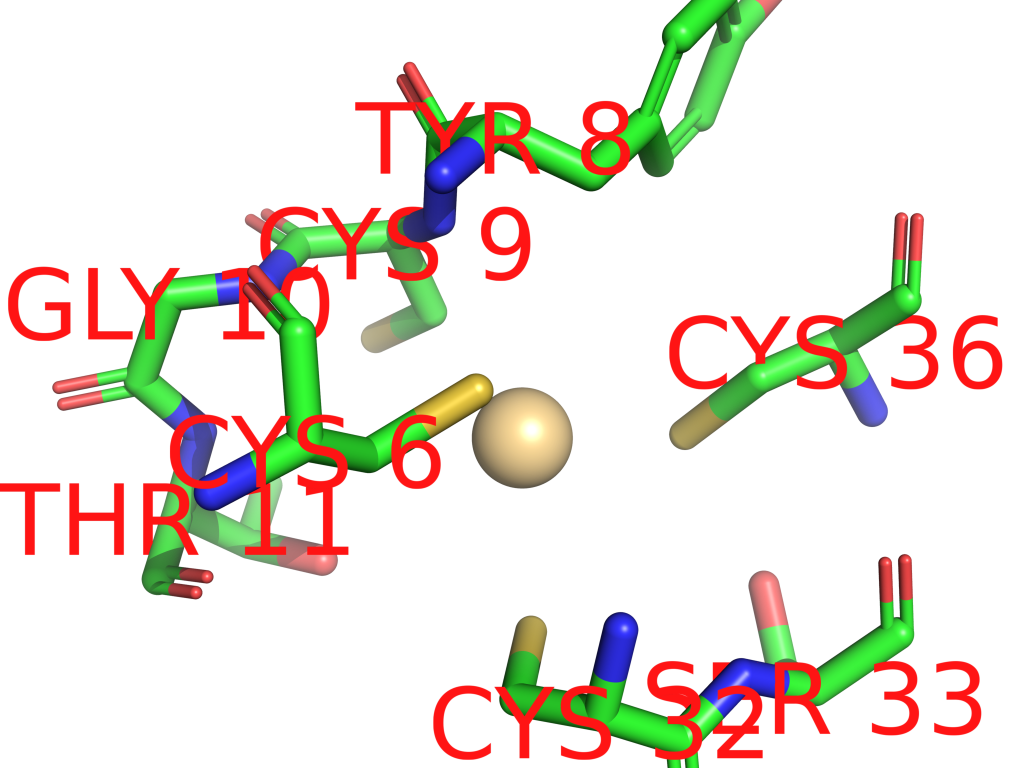 Cadmium binding site 1 out of 5 in 2qa4 Cadmium binding site 1 out of 5 in 2qa4